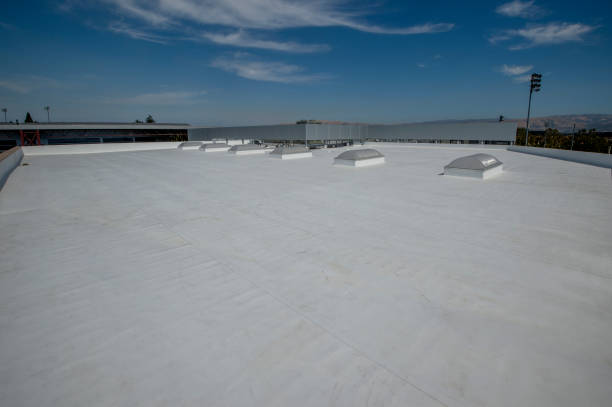 Cold Roofs in Westchase, FL