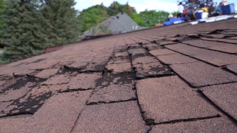 Best Rubber Roofing (EPDM, TPO)  in Westchase, FL
