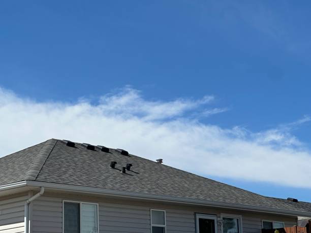 Professional Roofing Service in Westchase, FL