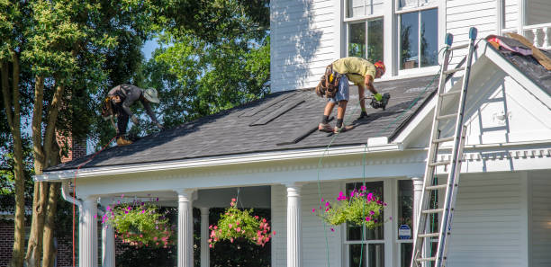 Asphalt Shingles Roofing in Westchase, FL
